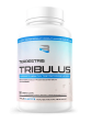 Terrestris Tribulus on Sale