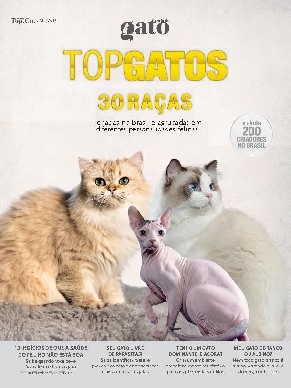 Pulo do Gato Online Hot Sale